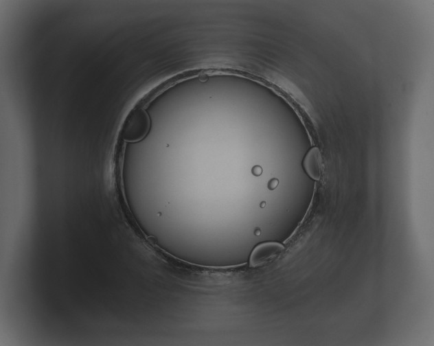 X0000100750928200806261541