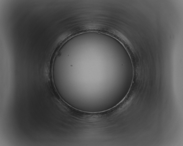 X0000100750930200806261541