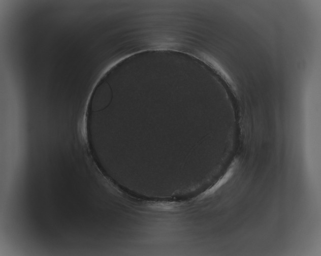 X0000100750932200806261541