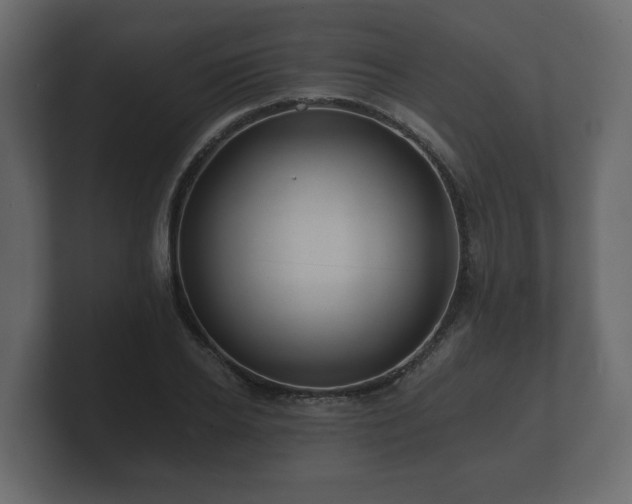 X0000100750934200806261541