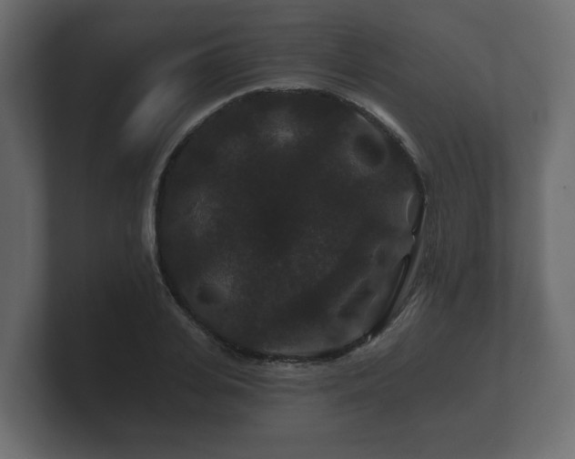 X0000100750935200806261541