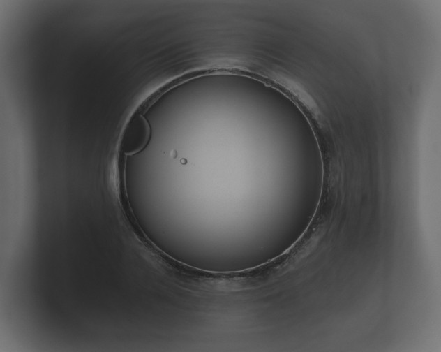 X0000100750936200806261541