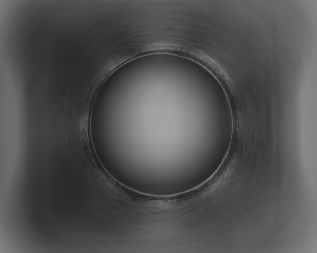 X0000100750937200806261541