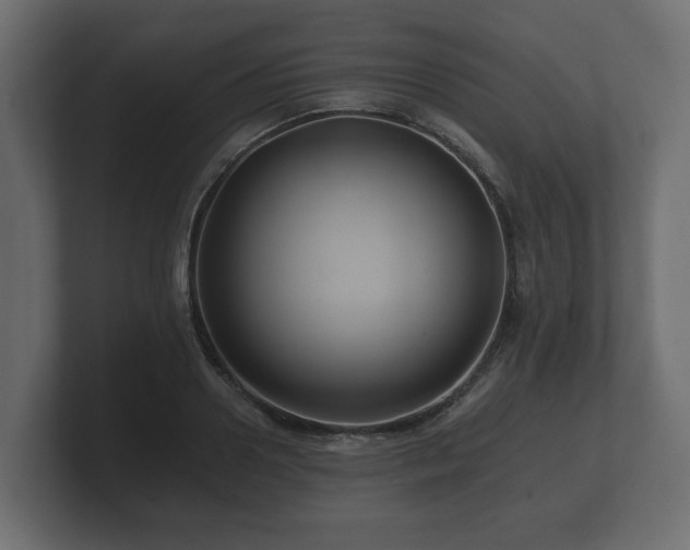 X0000100750938200806261541