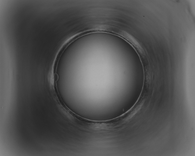 X0000100750940200806261541