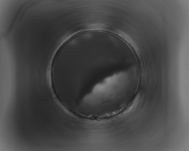 X0000100750941200806261541