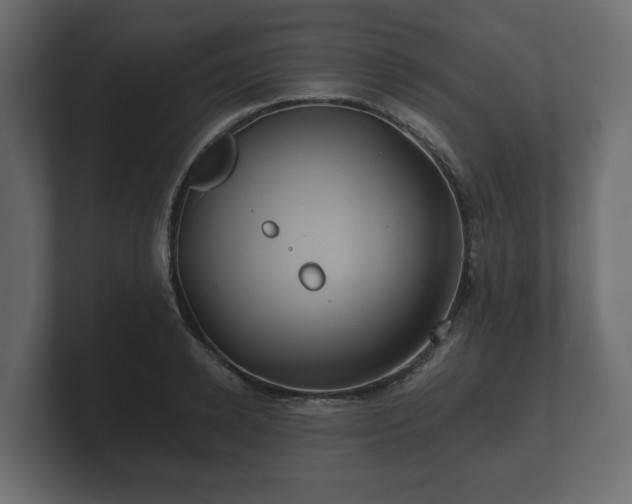 X0000100750942200806261541