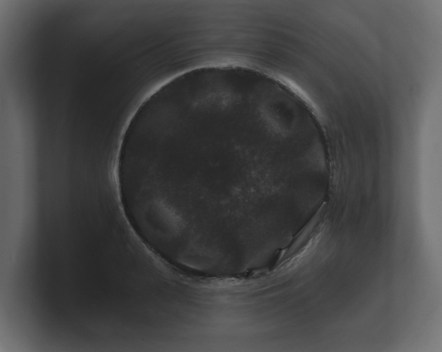 X0000100750943200806261541