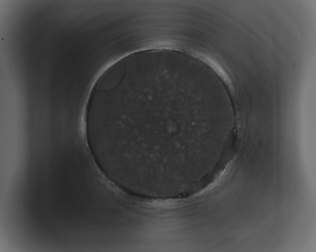 X0000100750944200806261541