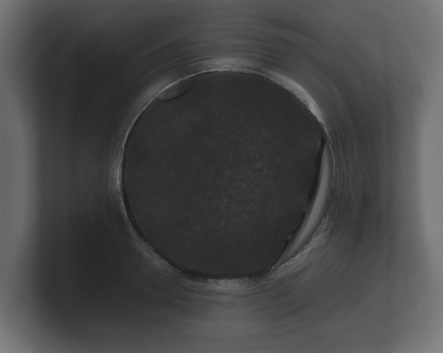 X0000100750946200806261541