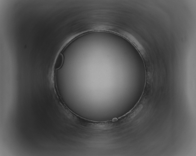 X0000100750948200806261541