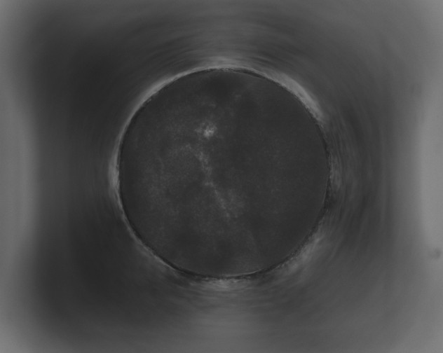 X0000100750950200806261541