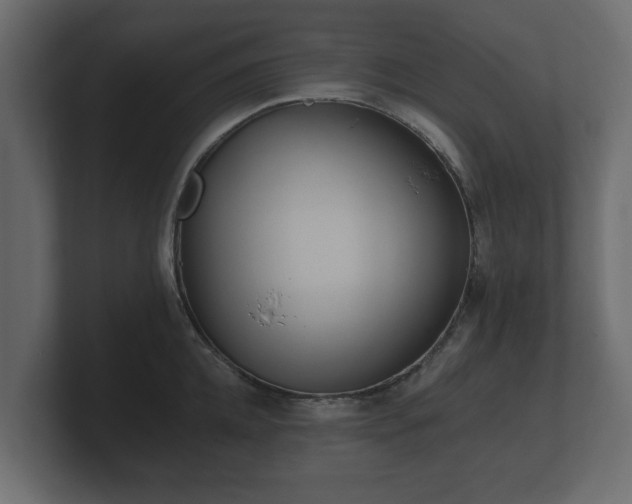 X0000100750952200806261541