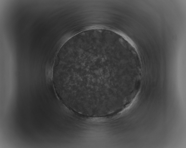 X0000100750953200806261541