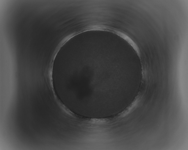 X0000100750954200806261541