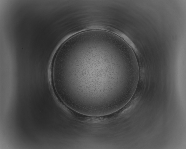 X0000100750955200806261541