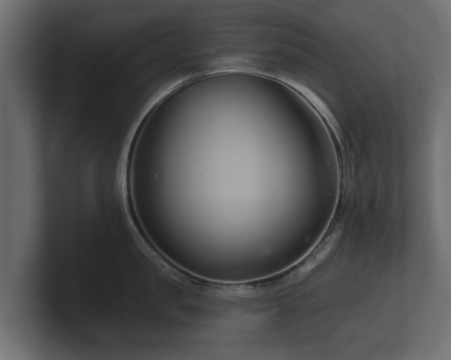 X0000100750957200806261541