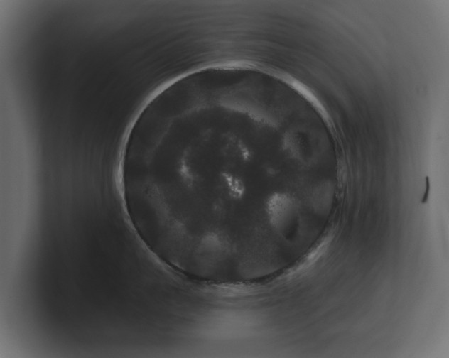 X0000100750959200806261541