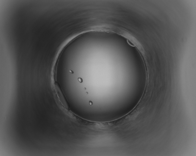 X0000100750960200806261541