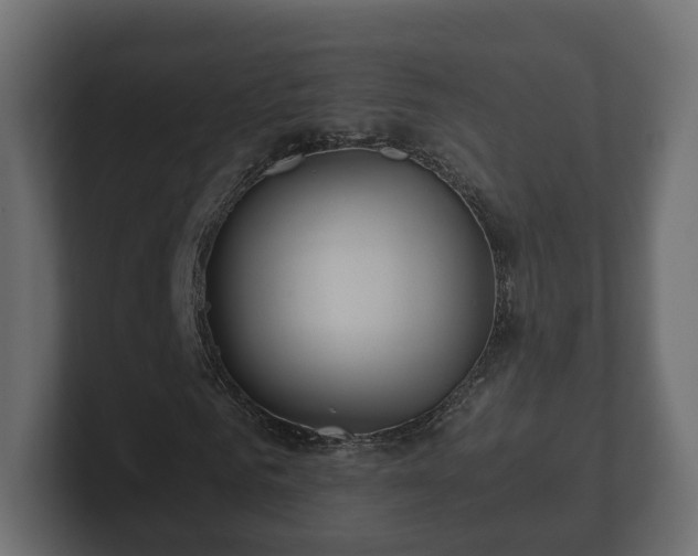 X0000100750961200806261540