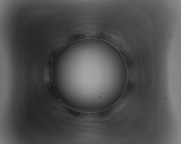 X0000100750962200806261540