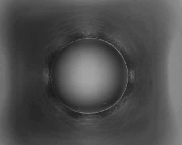 X0000100750963200806261540