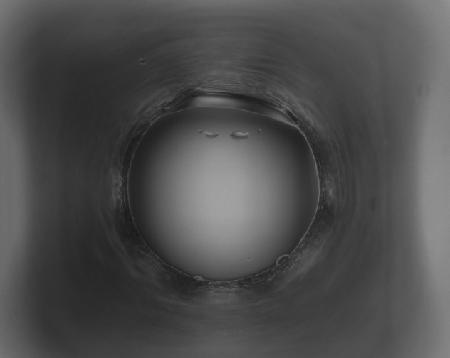 X0000100750964200806261540