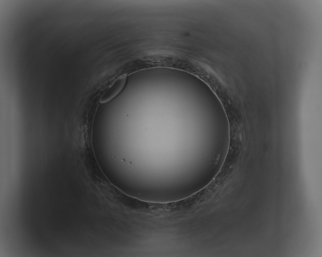 X0000100750965200806261540