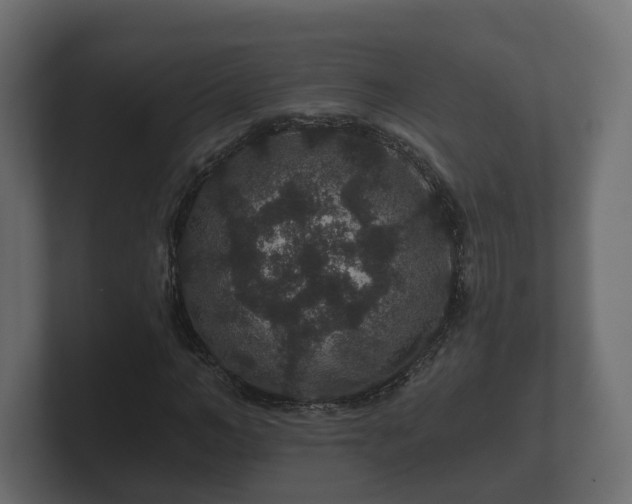 X0000100750966200806261540