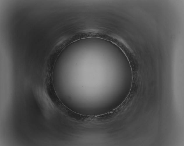 X0000100750967200806261540