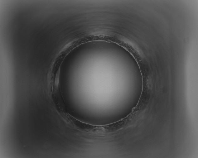 X0000100750968200806261540