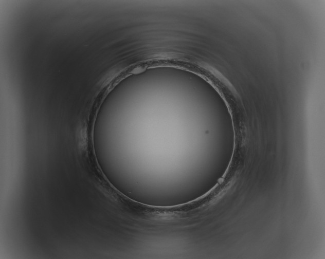 X0000100750969200806261540