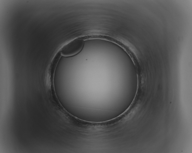 X0000100750973200806261540