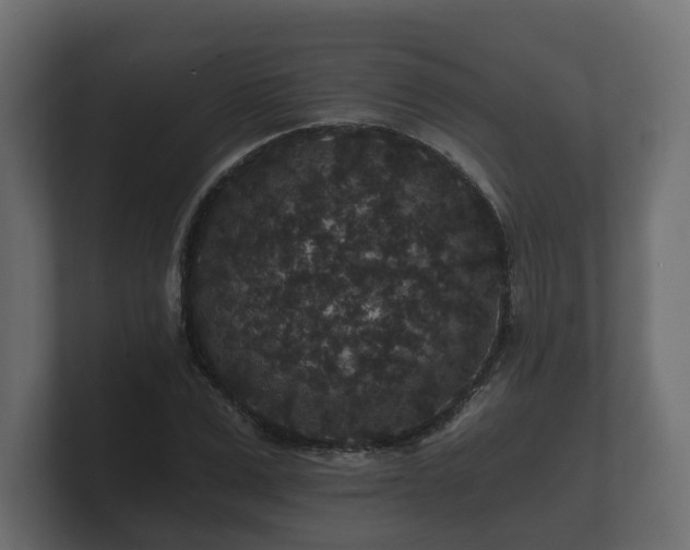 X0000100750975200806261540