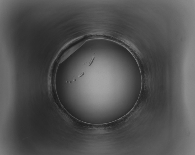 X0000100750976200806261540