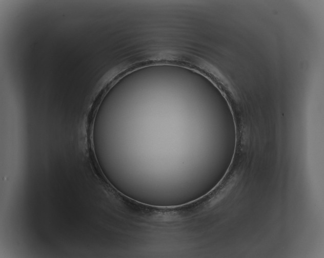 X0000100750978200806261540