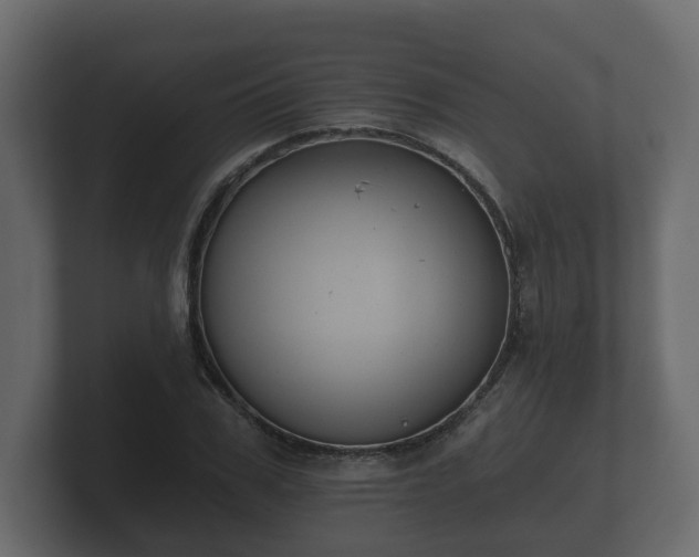 X0000100750979200806261540