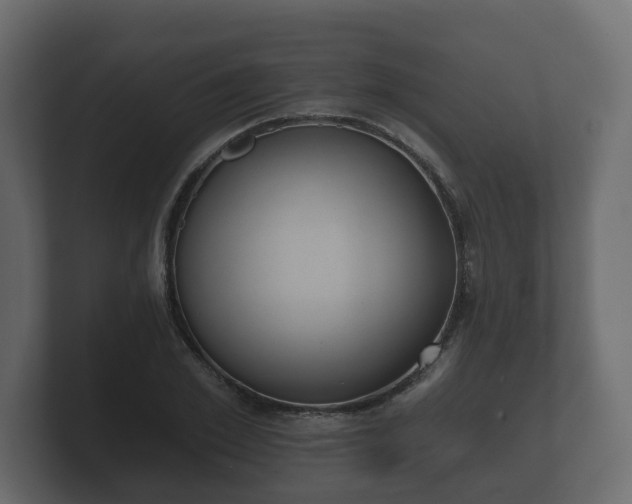 X0000100750981200806261540