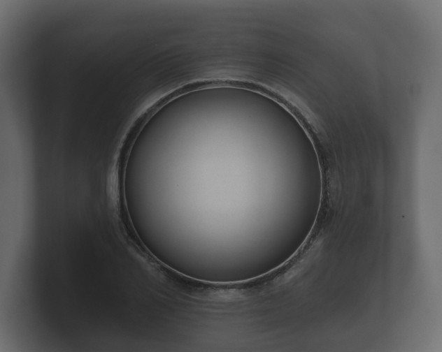 X0000100750982200806261540