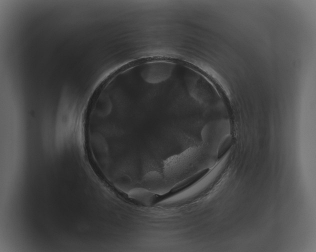 X0000100750983200806261540