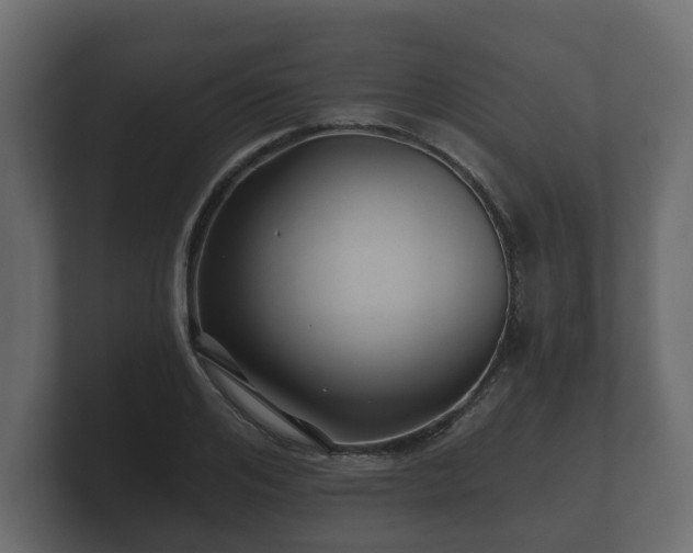 X0000100750984200806261540