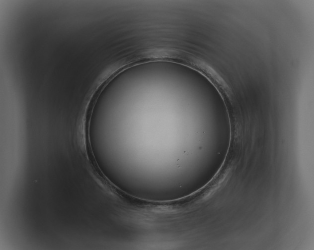 X0000100750986200806261540