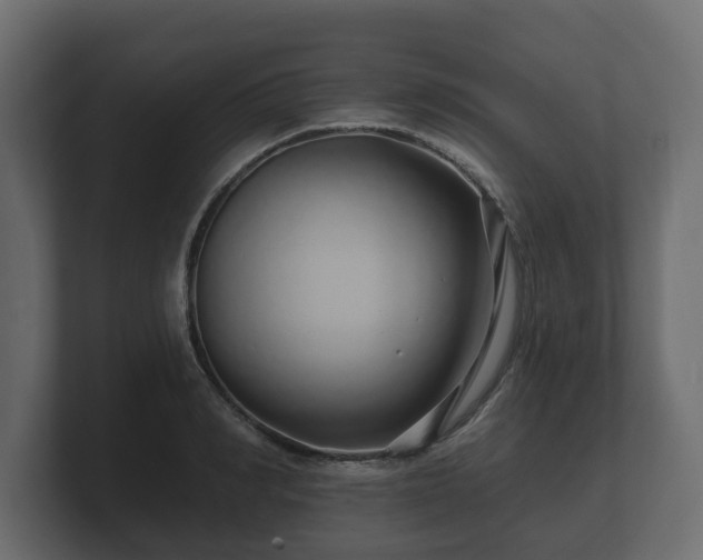 X0000100750990200806261540