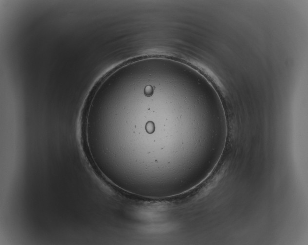 X0000100750991200806261540