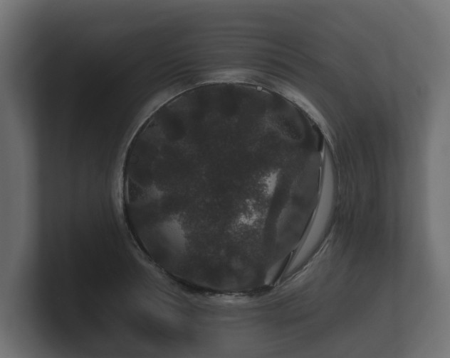 X0000100750994200806261540