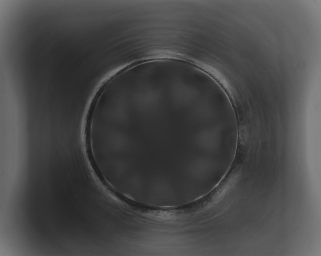 X0000100750995200806261540