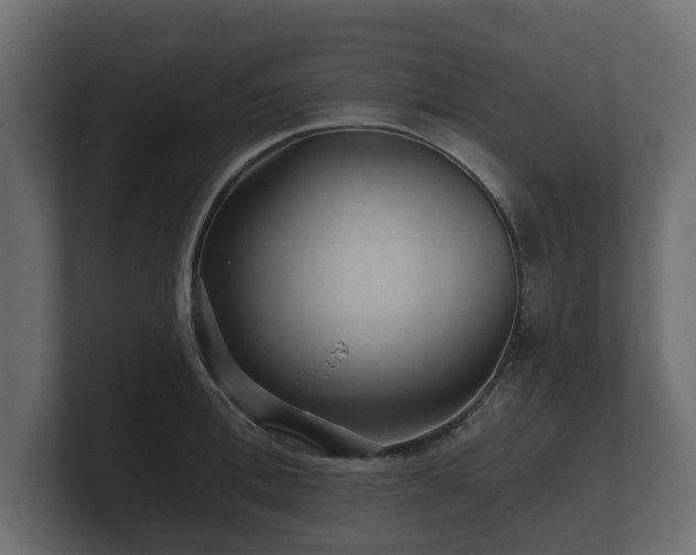 X0000100750996200806261540