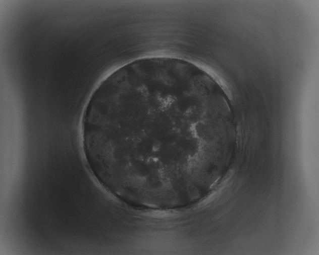 X0000100750998200806261540