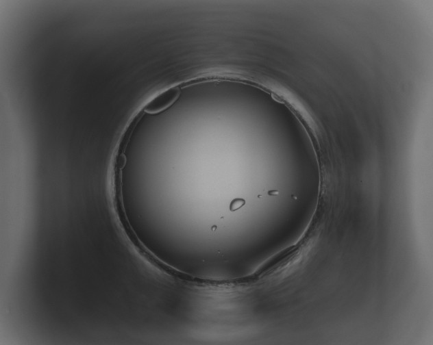 X0000100750999200806261540