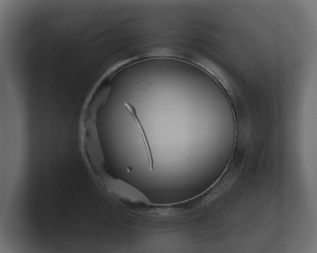 X0000100751000200806261540